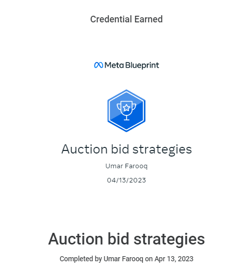 Auction Bid Strategies